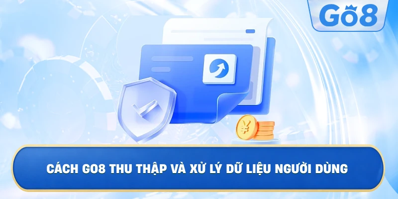 Cách GO8 Thu Thập Và Xử Lý Dữ Liệu Người Dùng