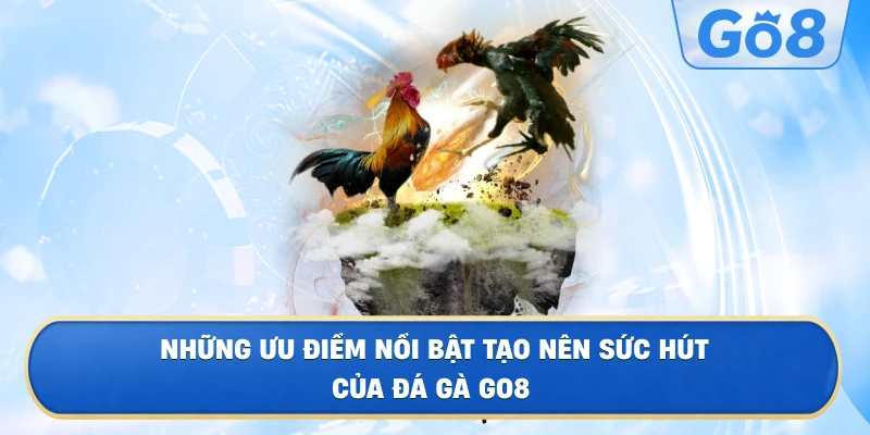 Những Hình Thức Đá Gà GO8 Được Nhiều Người Yêu Thích